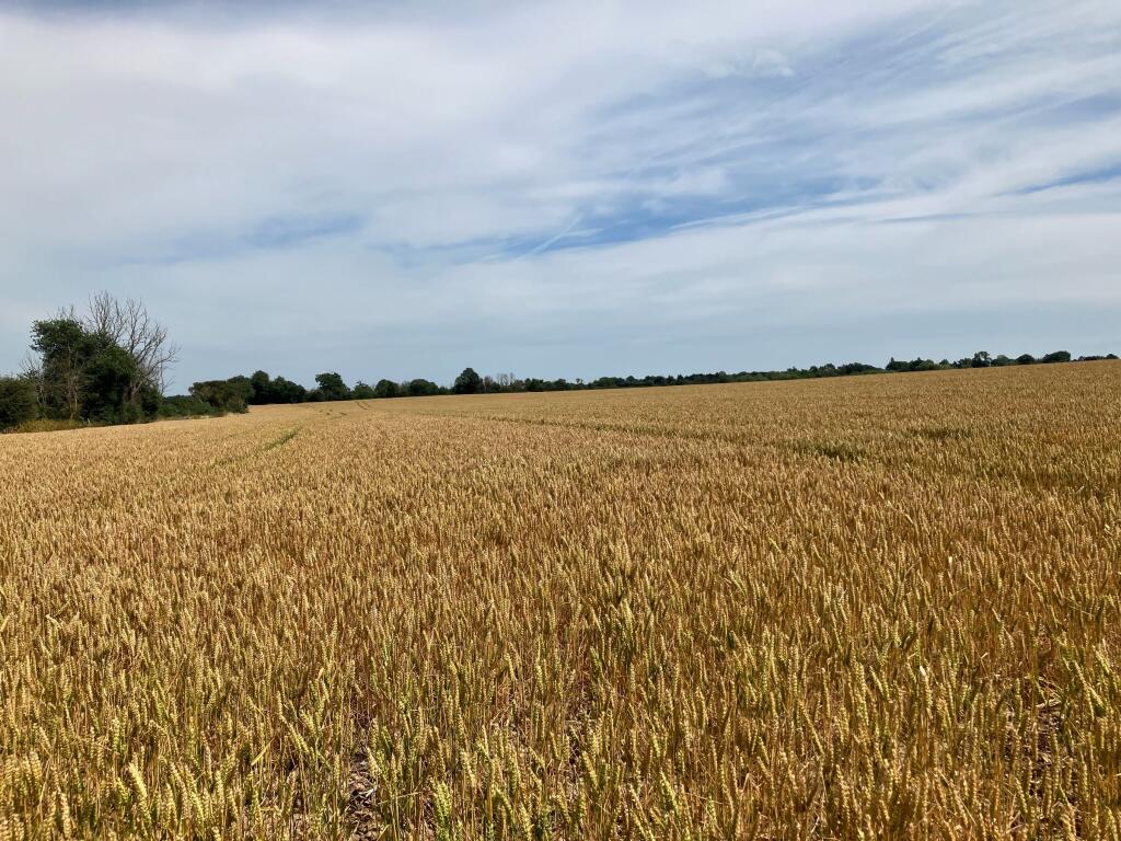 Main image of property: Land at Weir Farm, East Mersea