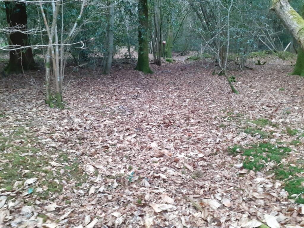 Main image of property: Land In Surrey, Fisher Lane, Chiddingfold, GU8