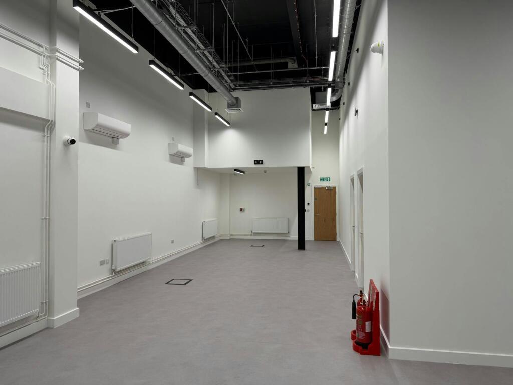 p6.jpg
