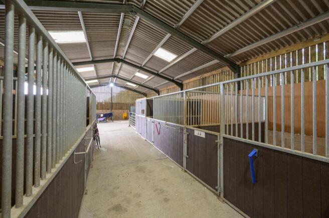 Equestrian
