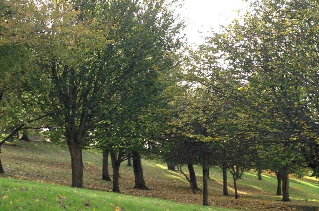 Photo of the property