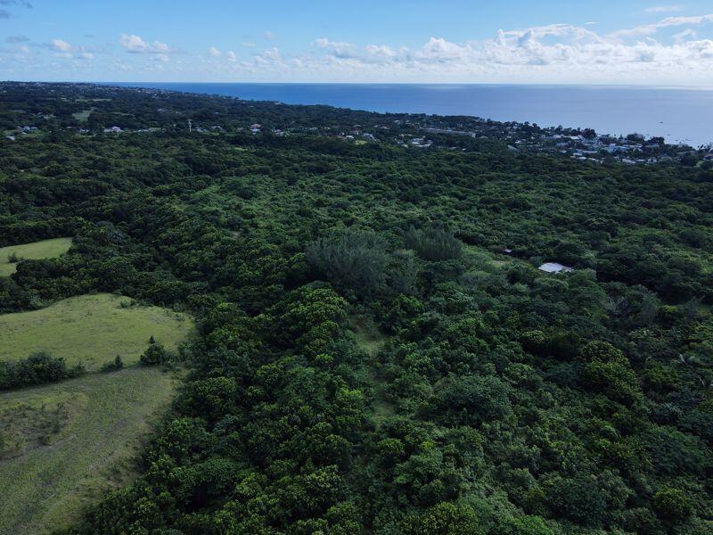 Main image of property: 36 Acres of Land, Holetown, Barbados