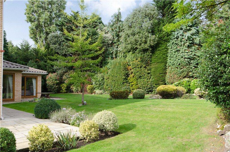 Property photo 10