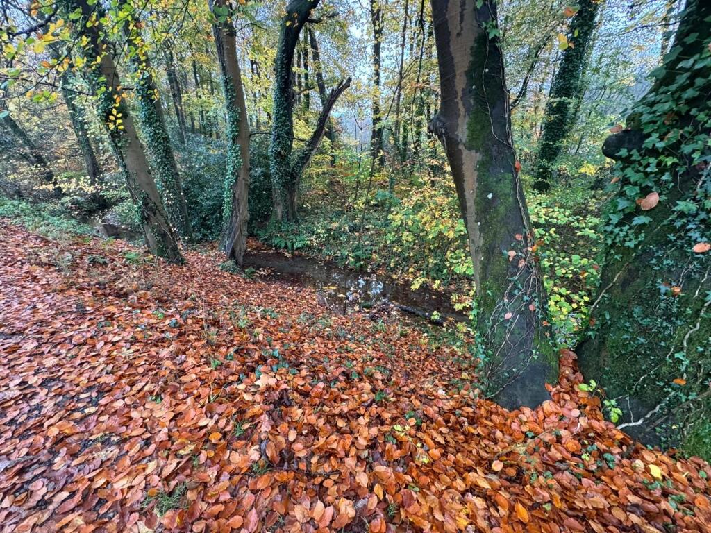 Approximately. 1.95 acres of Woodland Miskin, Pontyclun, CF72 8PE photo 4