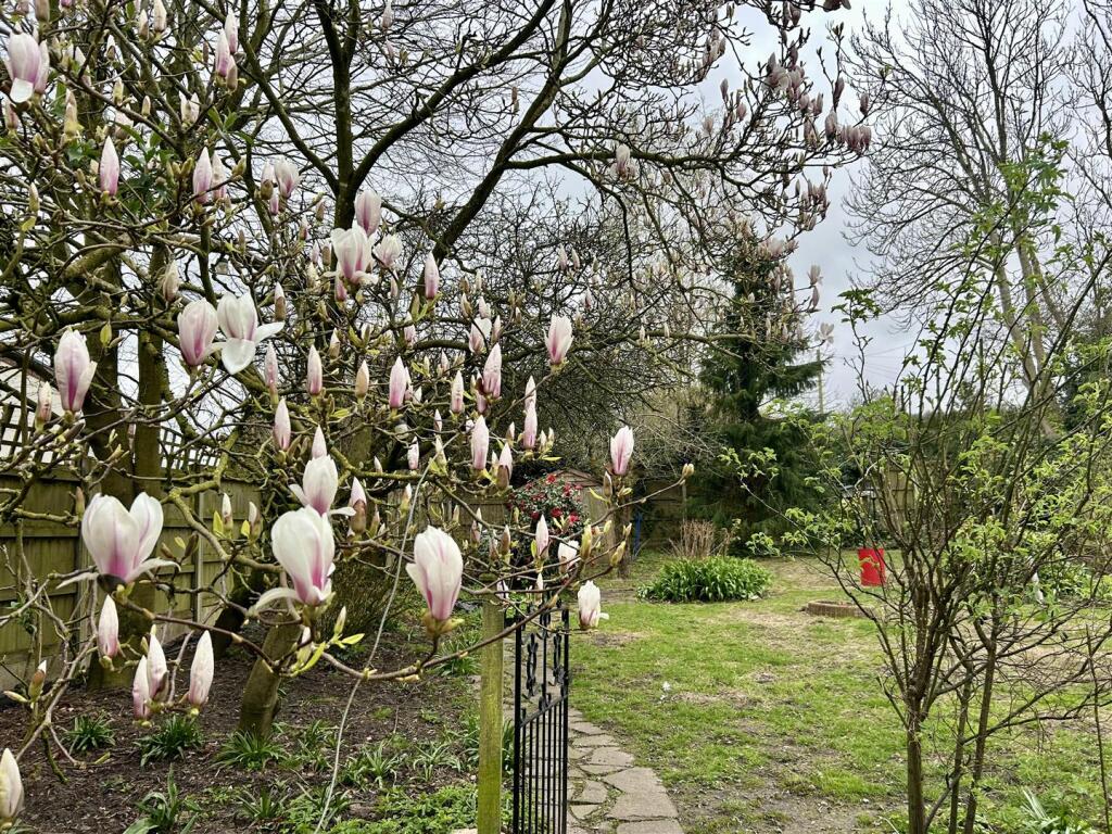 Additional image 23 of Bromsgrove Road, Romsley, Halesowen