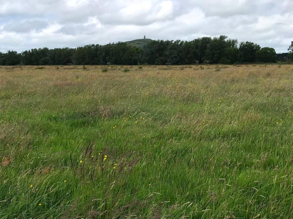 Main image of property: Watchwell Drove, Street, BA6