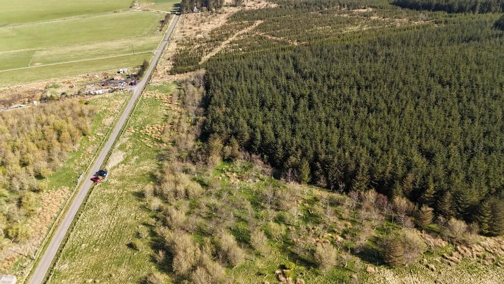Additional image 4 of Lot 1 Woodland at Broadmuir, Hill of Fisherie, Turriff, AB53 5QL