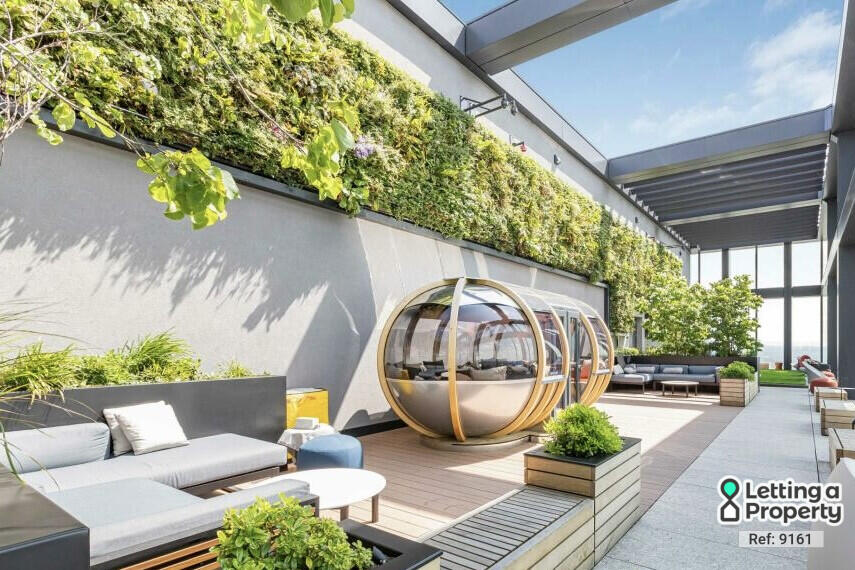 1 bedroom apartment for rent