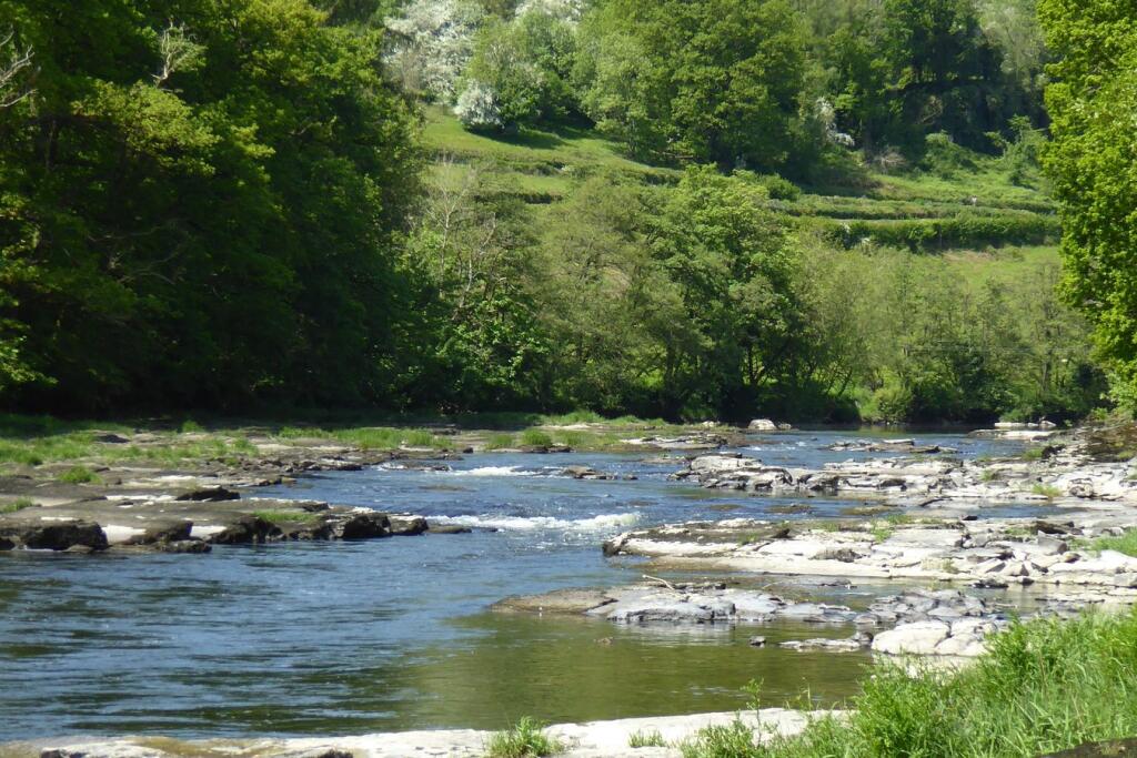 Nyth Riverside Lodge - A Holiday Home With Fishing Rights, Erwood, Builth Wells, LD2 photo 5