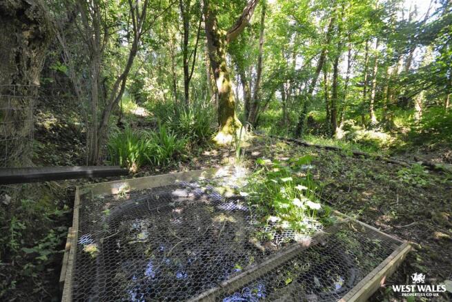 Woodland