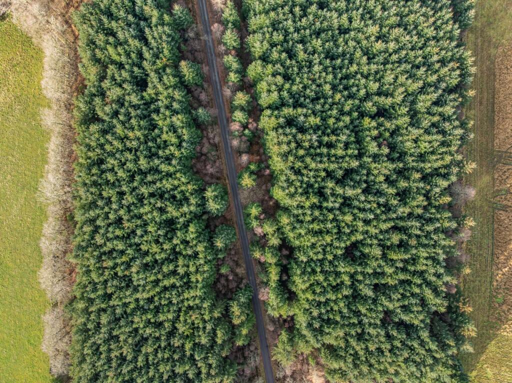 Main image of property: The Aberdeenshire Portfolio, Aberdeenshire