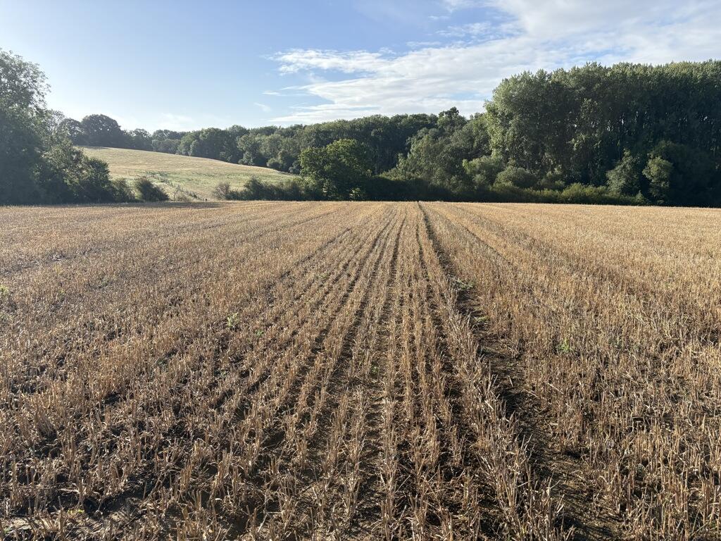 Lot 1- Land At Byfield, Daventry, Northamptonshire, NN11 6XU - View 3