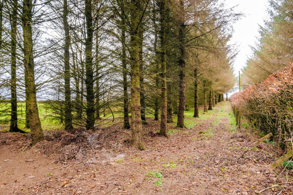 Additional image 52 of Sunnyside, Stevens Burn, New Deer, Turriff