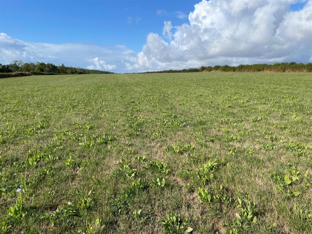 Main image of property: Liskeard