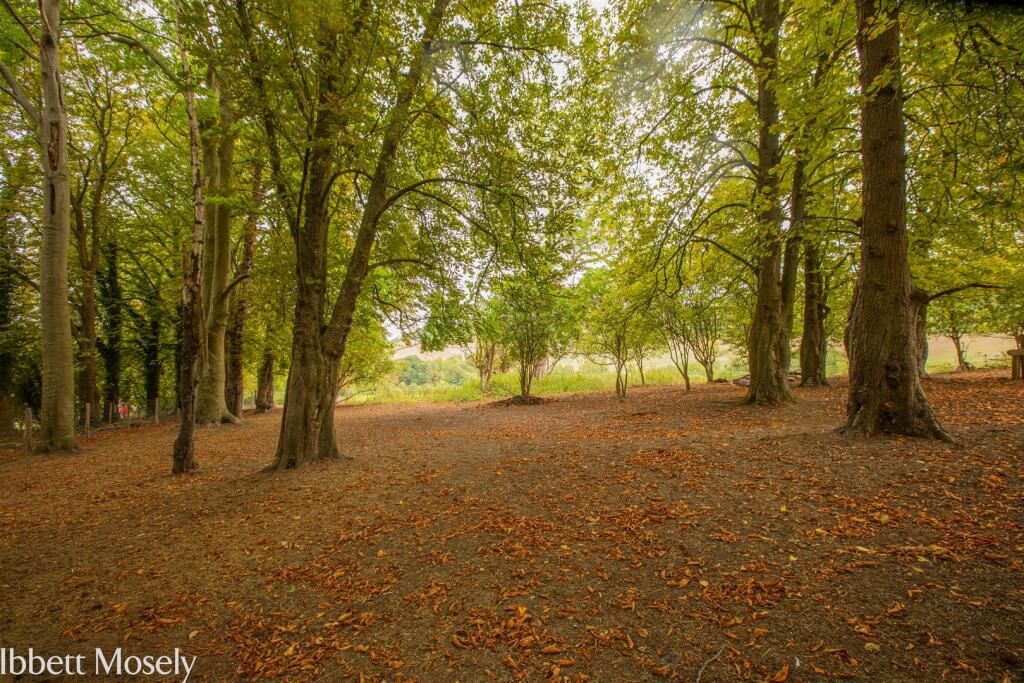 Woldingham - View 4