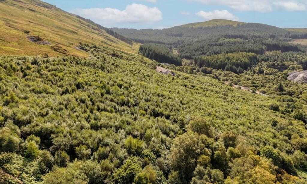 Hendrewallog Farm, Abergynolwyn, Gwynedd - View 5