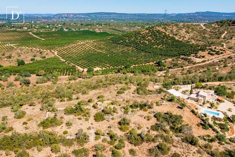 Main image of property: Algarve