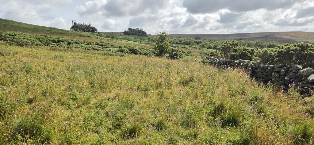 Land at Fowl Green Farm, Commondale, Whitby, North Yorkshire - View 4