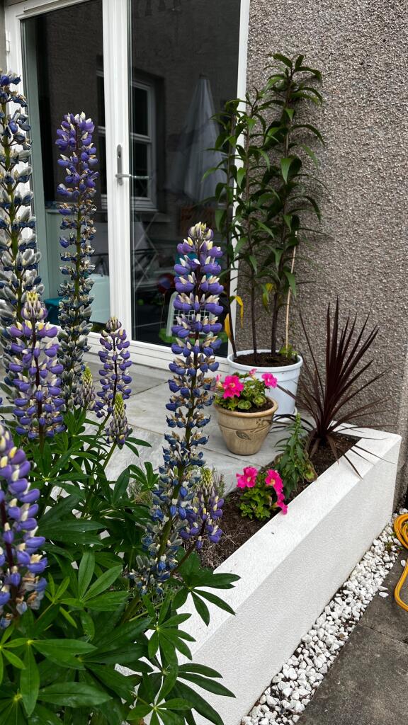 Additional image 15 of Beech Tree Road, Banchory, AB31