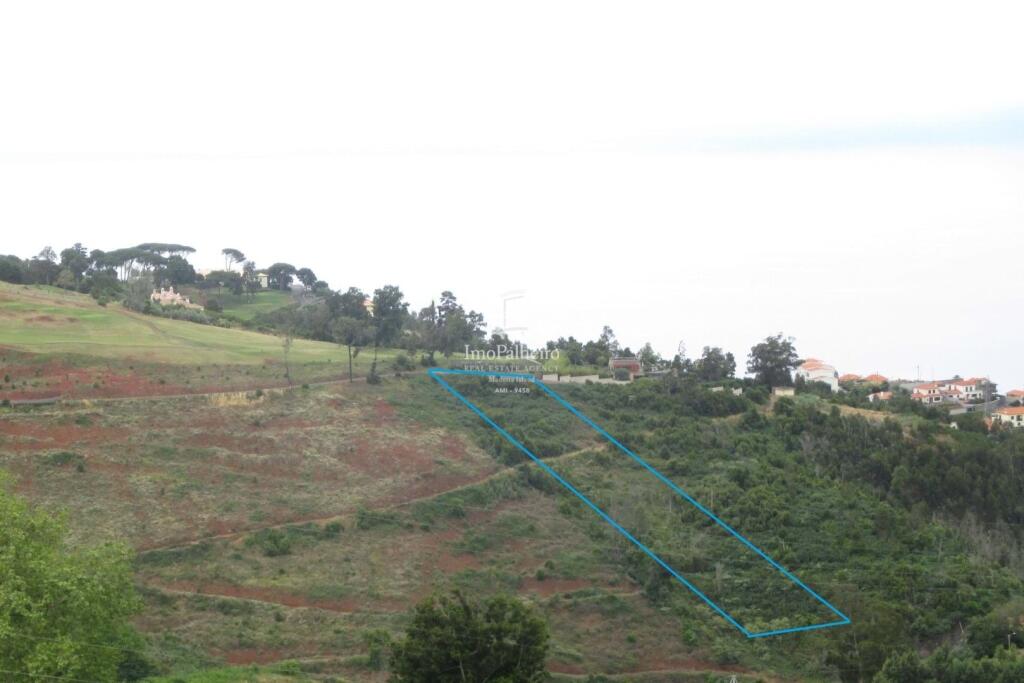 Main image of property: Madeira