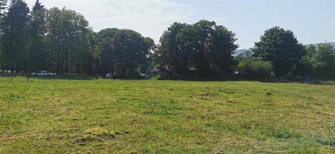 Lower Paddock