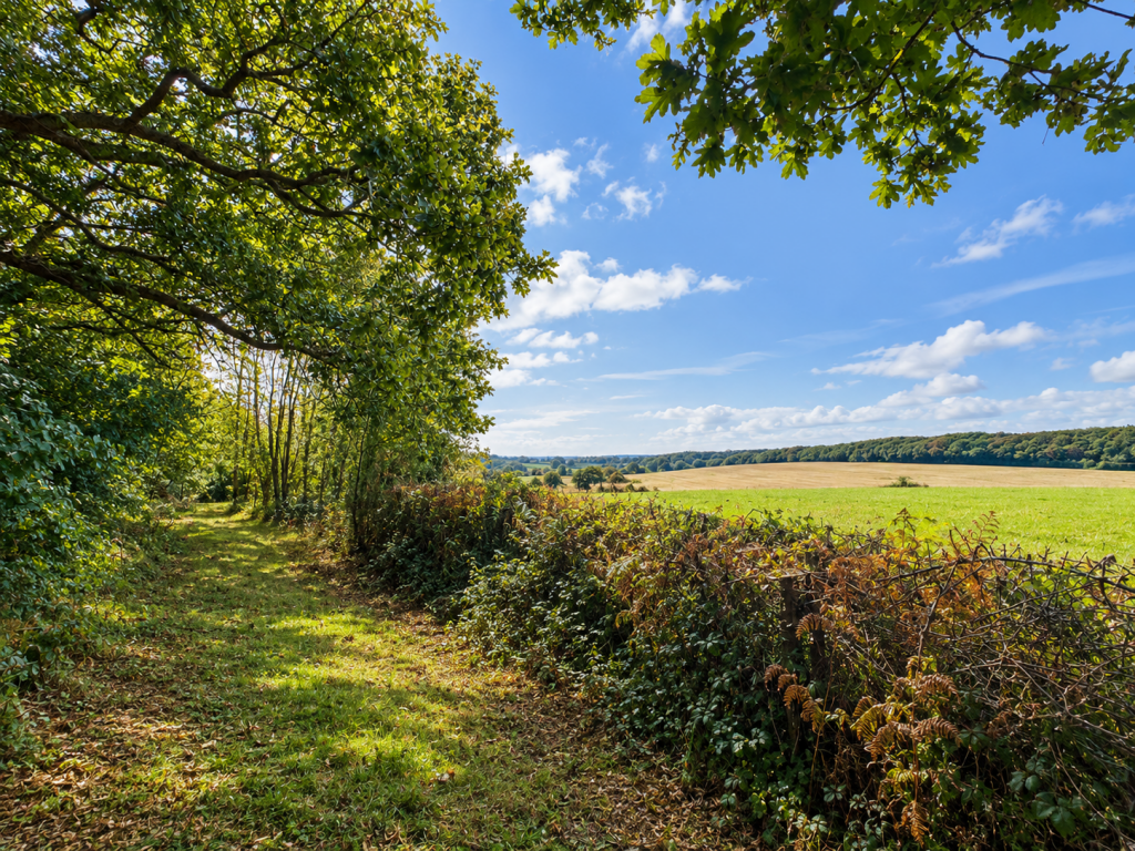 Main image of property: Land on North East side of Boreham Lane, Wartling, Hailsham, East Sussex