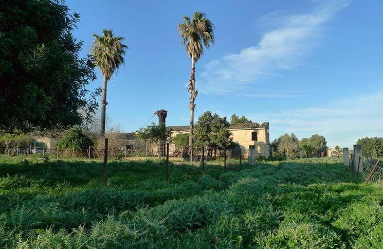 Main image of property: Balearic Islands, Mallorca, Campanet