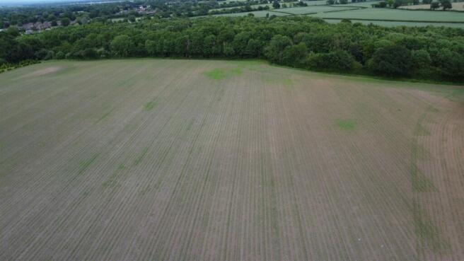 DJI_0487.JPG