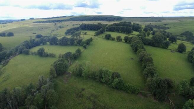 dji_fly_20260602_153404_966_1780410982556_photo_op