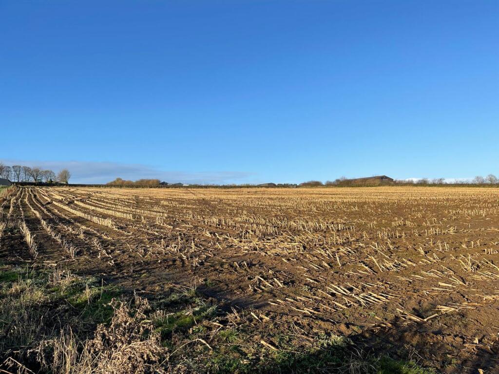 Stainbrough Fold Farm, Hood Green, S75