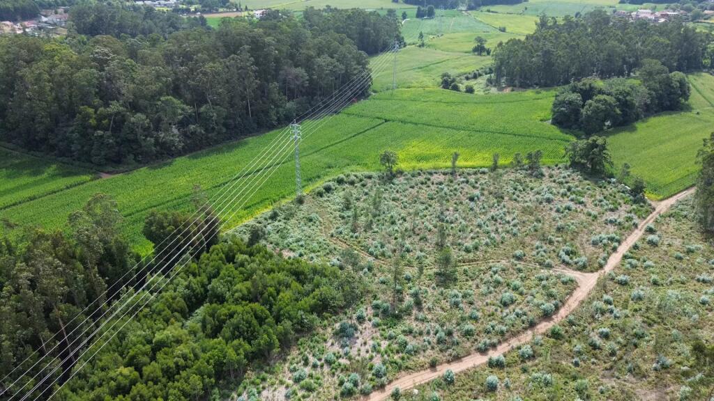 Main image of property: Portugal