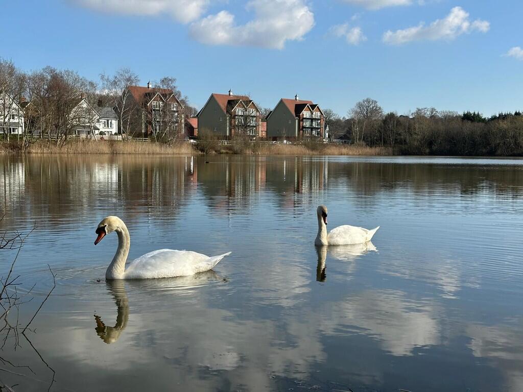 Main image of property: Lake Avenue, Mytchett, Camberley