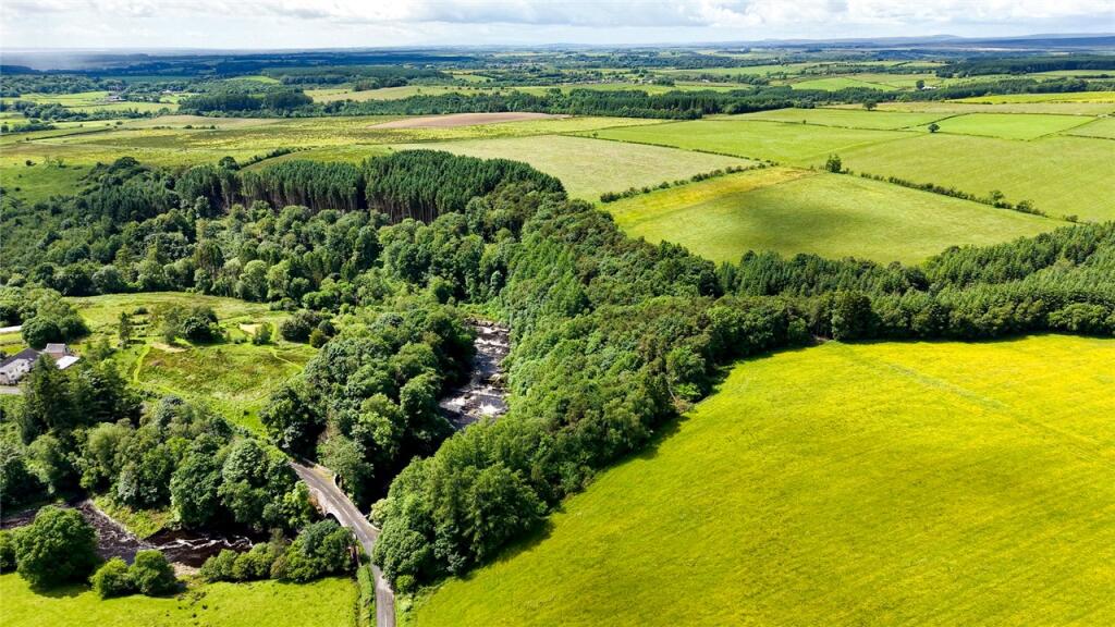 Main image of property: Penton Linns Woodland, Canonbie, Dumfries and Galloway, DG14