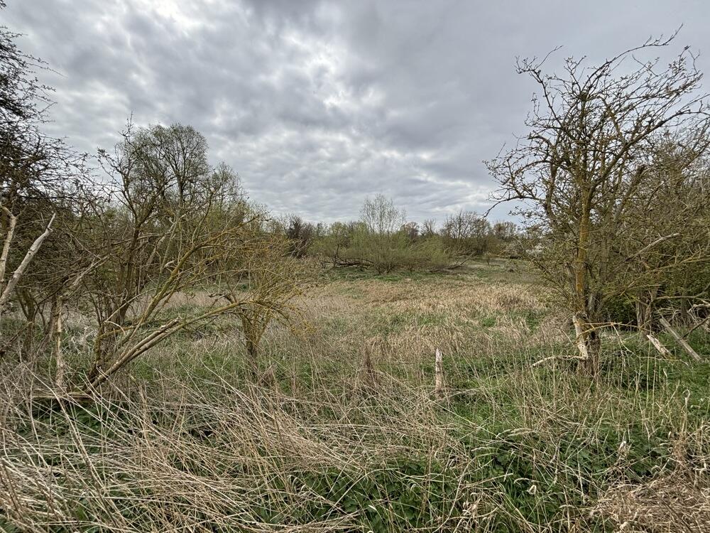 Main image of property: Land To The North Of Harlow Mill , Cambridge Road, Harlow, Essex