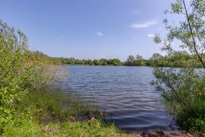 Escomb Nature Reserve