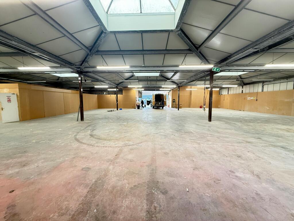 IMG_6125.jpeg