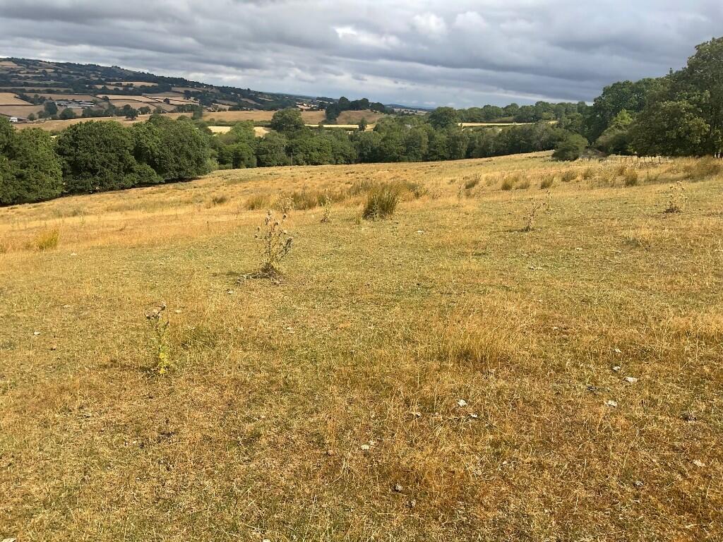Main image of property: Part of Wood Farm & Werngounsel Farm, Penbidwal Lane, Pandy, Abergavenny, NP7