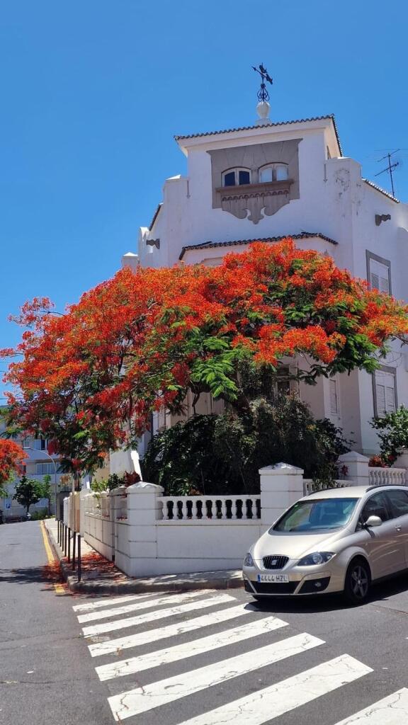 Main image of property: Canary Islands, Tenerife, Santa Cruz de Tenerife