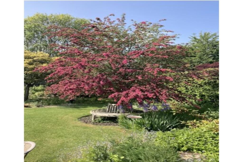 Additional image 22 of West Park, Butleigh, BA6