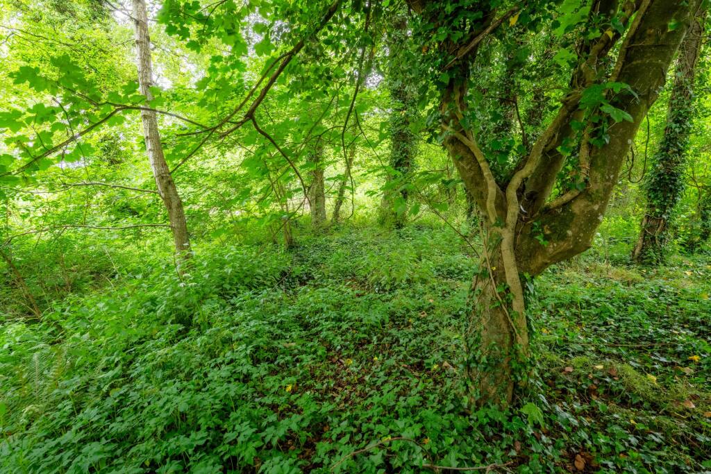 Main image of property: Coppice at Horwood