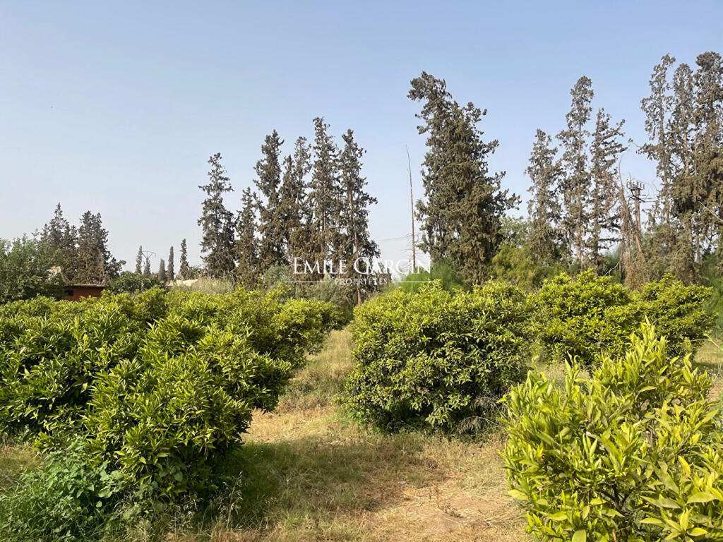 Main image of property: Marrakech, Marrakech-Tensift-El Haouz, Marrakech