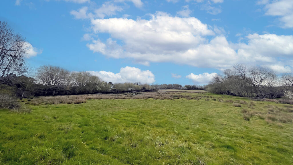 6.65 acres of land for sale in Sulhamstead.