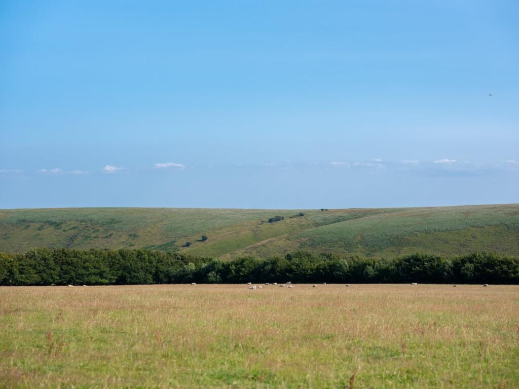 Simonsbath, Minehead, Somerset, TA24 - View 2