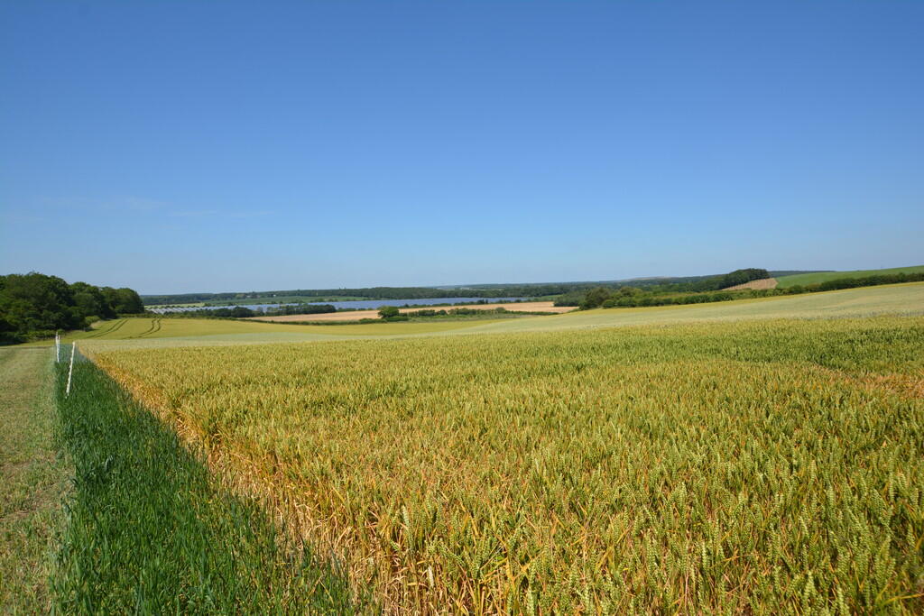 Bilsthorpe Road, Eakring - View 5