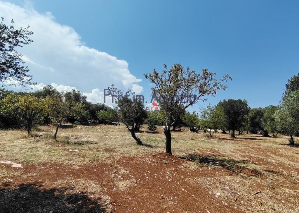 Main image of property: Carovigno, Brindisi, Apulia