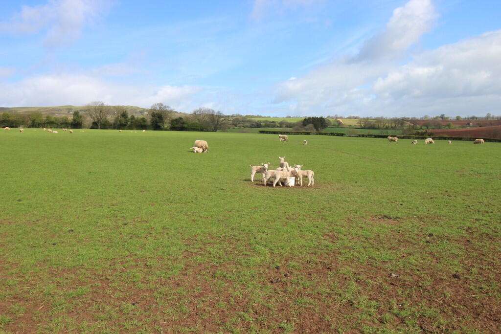 Main image of property: Land at New Barns Farm, Coreley, Ludlow, Shropshire, SY8 3AR
