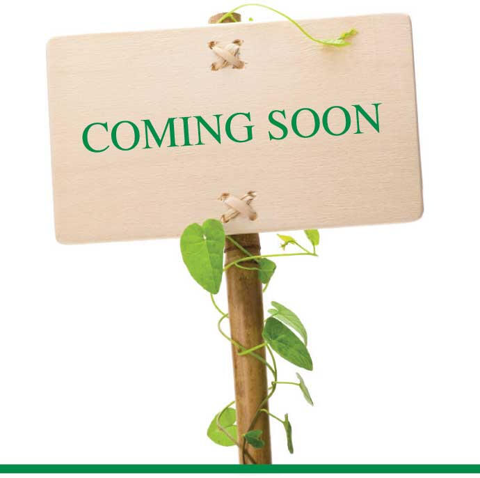 Main image of property: Butterfly Way, Cradley Heath