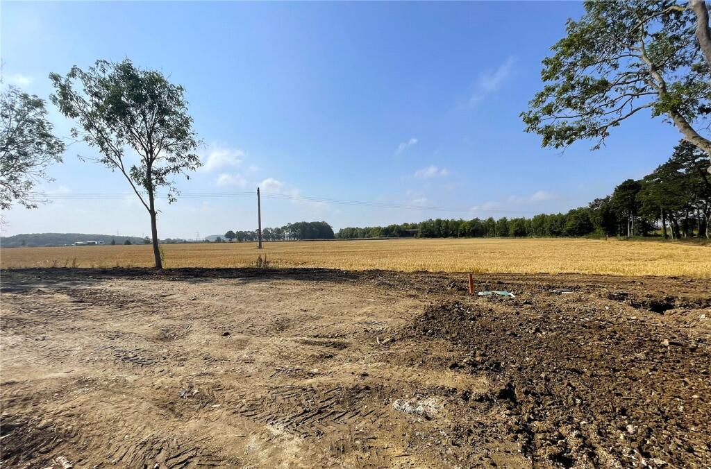 Roxton Road, Immingham, Grimsby, North East Lincs, DN40 photo 3