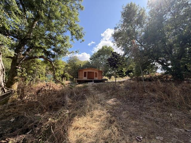 Woodland at Clipston-On-The-Wolds, Keyworth, Nottingham - View 3