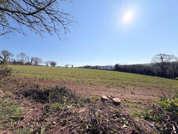 Adjacent farmland